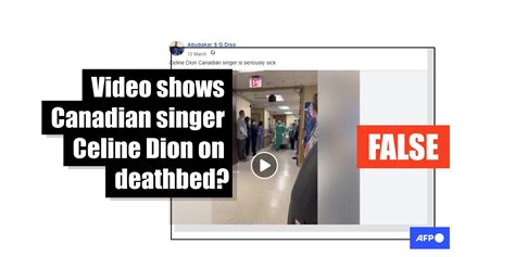 celine dion fake news|Posts falsely claim to show Canadian singer Celine Dion on her .